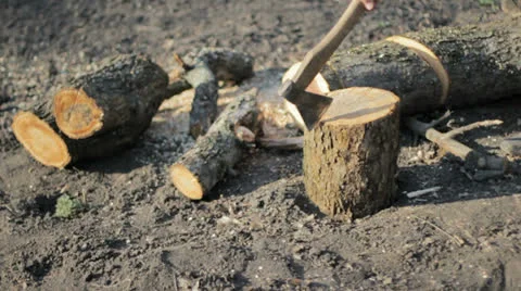 Man cutting wood with axe Stock Footage 26637839