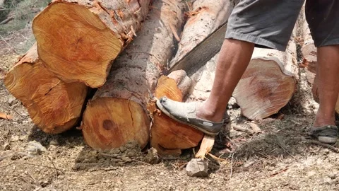 The man cutting wood with chainsaw Stock Footage 166547450