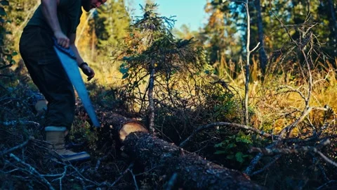 Man Cutting Wood Log With Hand Saw - Wide Shot 库存影片 337022700