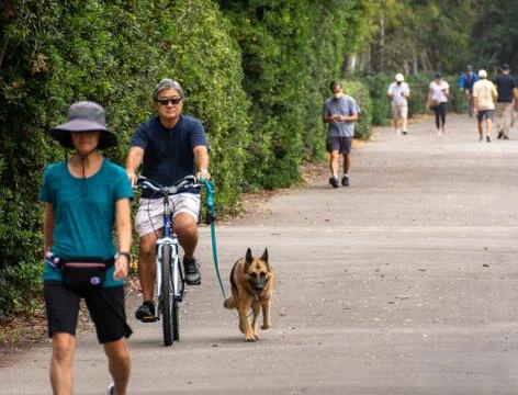Man Cycles with Dog in Park, While Walkers Behind Him Wear Face Masks Stock Photos