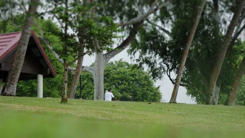 Man cycling in a park Stock Footage 258782123