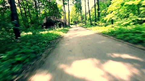 Man cycling on  path in green spring summer, Stock Footage 50045352