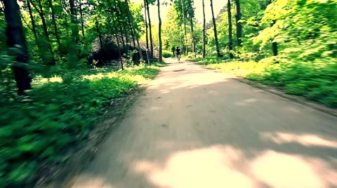 Man cycling on  path in green spring summer Video stock 50045780