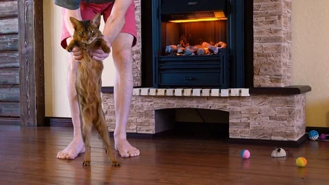 Man dance with cat in front of fireplace slow motion Stock Footage 88077305