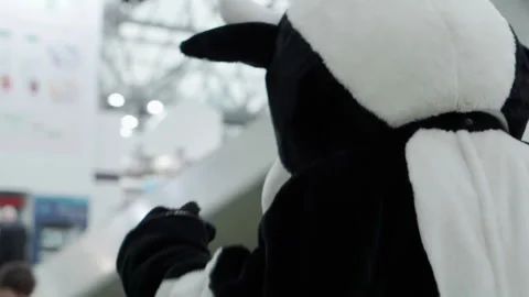 A man is dancing in a cow costume. Stock Footage 154859312