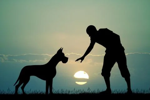 Man with dane at sunset Stock Illustration