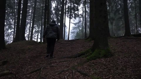 A man in dark clothes walks in a dark autumn and foggy forest in evening Stock Footage 220032076