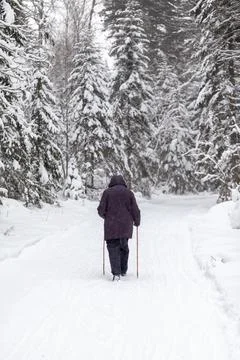 A man in a dark jacket walks through a snowy forest in winter. Stock Photos