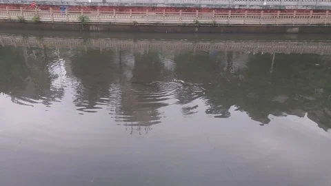 The man darted the fish in the river Vídeos de archivo 91326014
