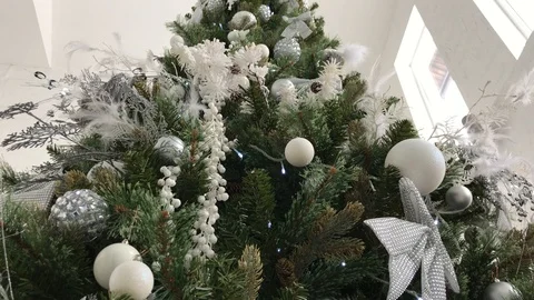 Man decorates the Christmas tree Stock Footage 103131029