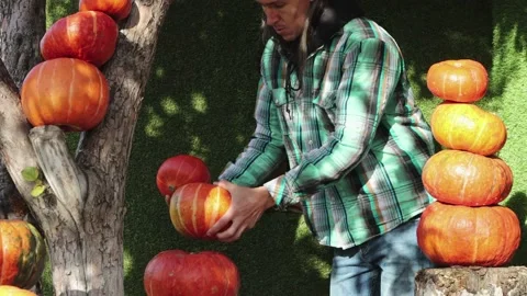 The man decorates the house with pumpkins. 動画素材 141707541