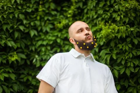 Man with decoration in beard Stock Photos