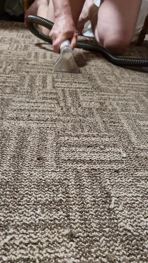 Man Deep Cleaning Patterned Carpet with Handheld Power Extraction Tool Stock Footage 339083388