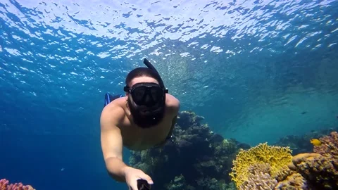 Man deep dive in a mask swims underwater near beautiful coral reef in Red Sea Video stock 186671569