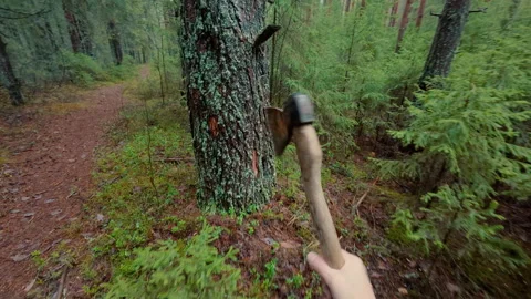 The man deftly throws an axe into a tree and sticks it into the trunk. Stock Footage 320944640