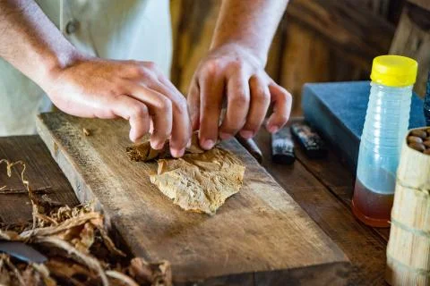 Man demonstrates how to roll a perfect Cuban cigar Foto stock