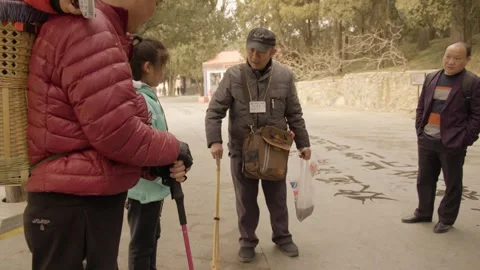 Man Demonstrates Water Calligraphy on Pavement at Summer Palace in Beijing Park Stock Footage 345687722