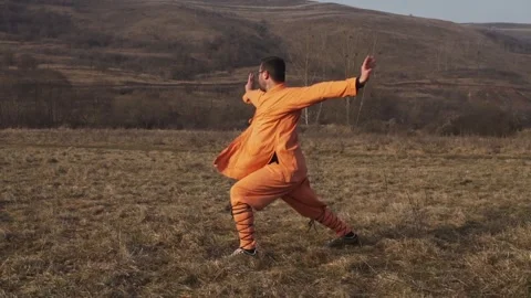 Man Demonstrating Kung Fu Moves And Stances. - wide shot Stock Footage 306639098