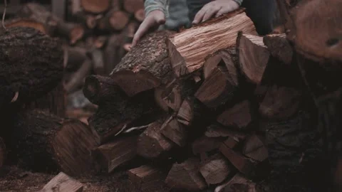 Man in denim stacks split wood on backyard Stock Footage 141069372