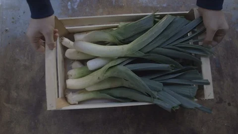 Man deposits a leek's basket in the van. Top view Stock Footage 123479671