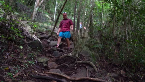 A man descends from a steep mountain along the roots of trees Stock Footage 91792353
