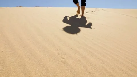 Man in the desert Stock Footage 236579883