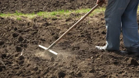 Man develops land with a rake 動画素材 181982862