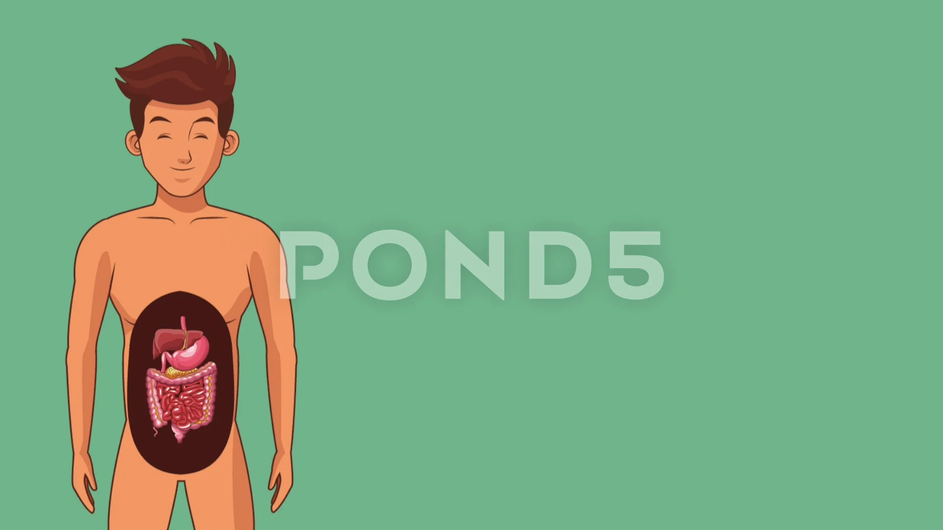 Man digestive system HD animation | Stock Video | Pond5