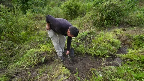 Man digging a ditch with a shovel 스톡 동영상 311126843