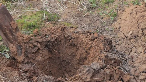 Man digging earth with a shovel in the yard to plant a tree Video stock 126759683