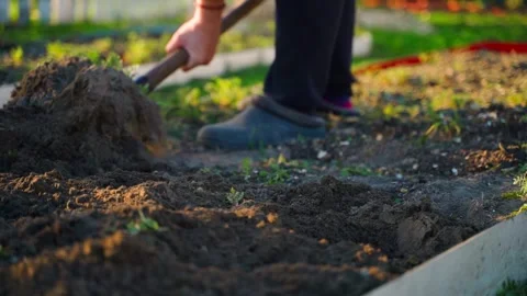 Man digging garden bed with shovel close-up in slow motion 库存影片 340388981
