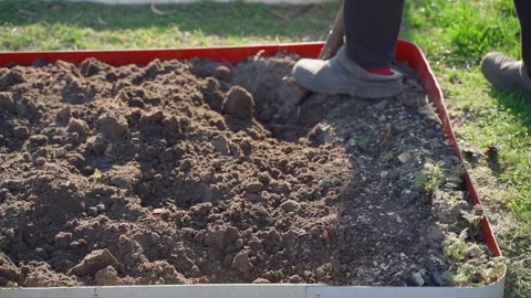Man digging garden bed with shovel slow motion garden preparation Stock Footage 340752826