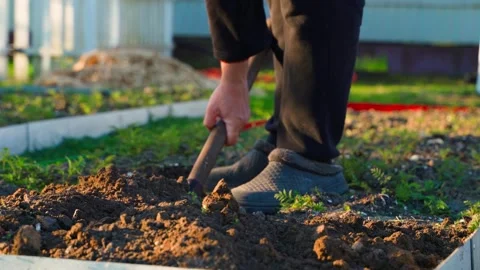 Man digging garden bed soil at sunrise garden preparation close-up 動画素材 341406817