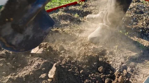 Man digging garden bed soil with a shovel close-up. Loosening the soil of the Video stock 342811655