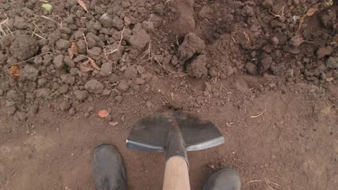 Man Digging Garden Stock Footage 164332141