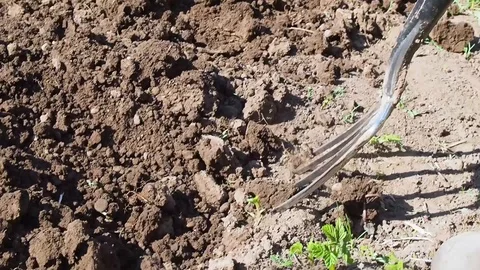 Man digging in the garden with a pitchfork Stock Footage 108764345