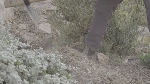 Man digging with gardening hoe Stock Footage 82252275