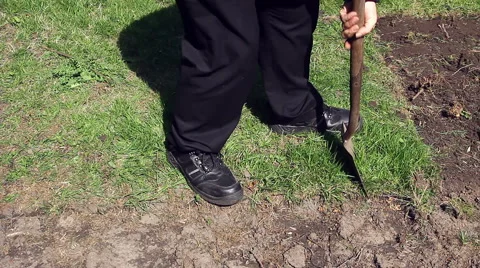 Man digging up grass turf sods in the garden to get to bare earth Video stock 67585110