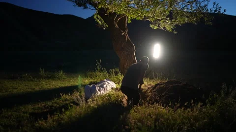 The Man Digging a Grave Under the Tree 스톡 동영상 241724694