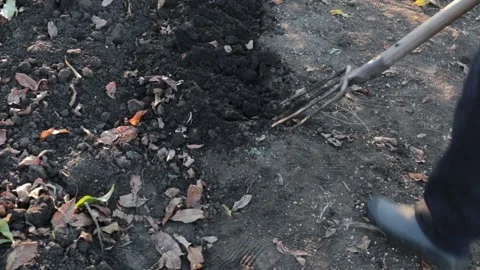 The man is digging the ground. Close-up. Stock Footage 144009618