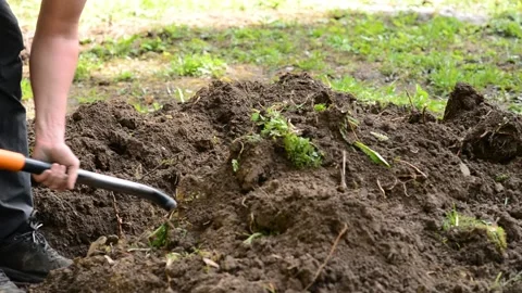 Man digging  ground close up Stock Footage 144535739