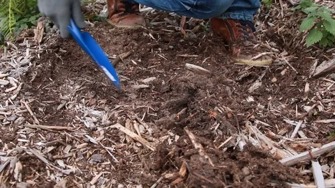 Man digging a ground to plant a tree	 Stock Footage 124010123