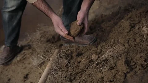 Man is digging in the ground  searching of ceramic stones Stock Footage 248831097