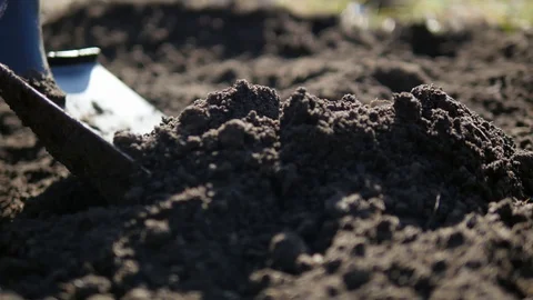 A man is digging the ground with a shovel to prepare the planting of seedlings Stock Footage 128752492