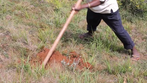Man digging with hand hoe to plant trees Stock Footage 165342374