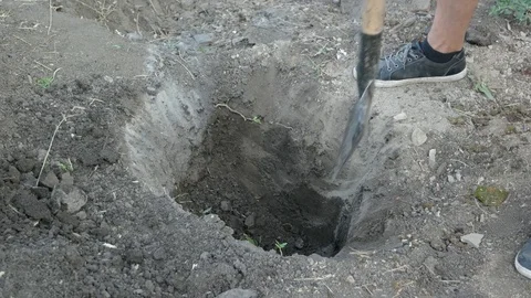The man digging a hole with a shovel in the ground. Close up shot in 4k Stock Footage 80759105