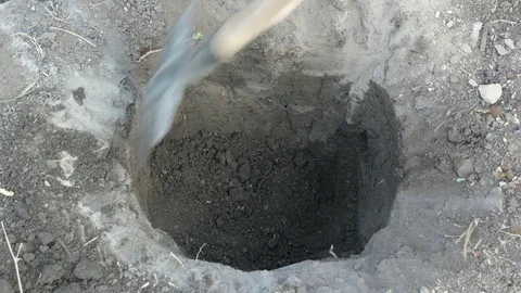 The man digging a hole with a shovel in the ground. Close up shot in 4k Stock Footage 80759182