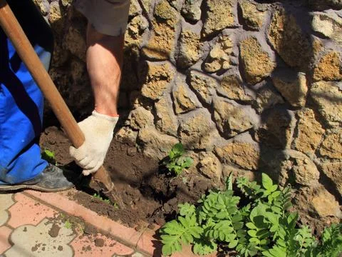 Man digging Stock Photos
