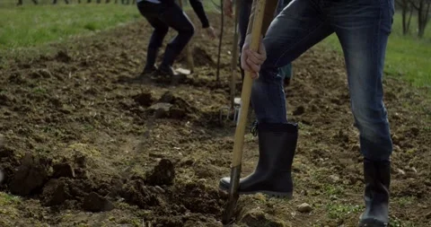 Man Digging a Planting Hole With a Spade for a Young Tree Видео 340296234
