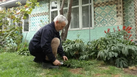 A man is digging up plants in his yard. Stock Footage 162408549
